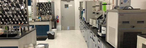 Chemical Synthesis and Medicinal Chemistry Support