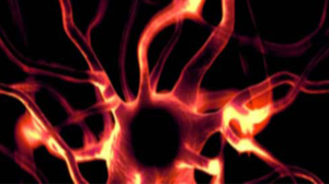 Inflammatory Diseases