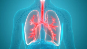 Pulmonology