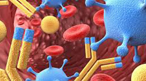 Autoimmune Diseases