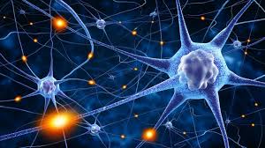 Neuroscience