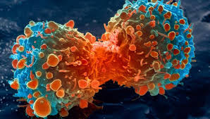 Oncology