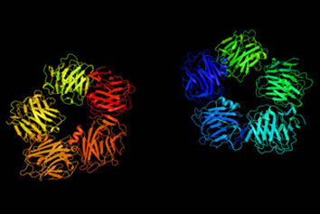 Peptide Based Drug Discovery