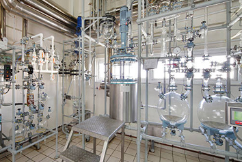 Process Development